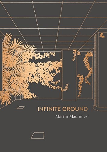 Howard Hughes, Martin MacInnes: Infinite Ground (2001, Atlantic Books)